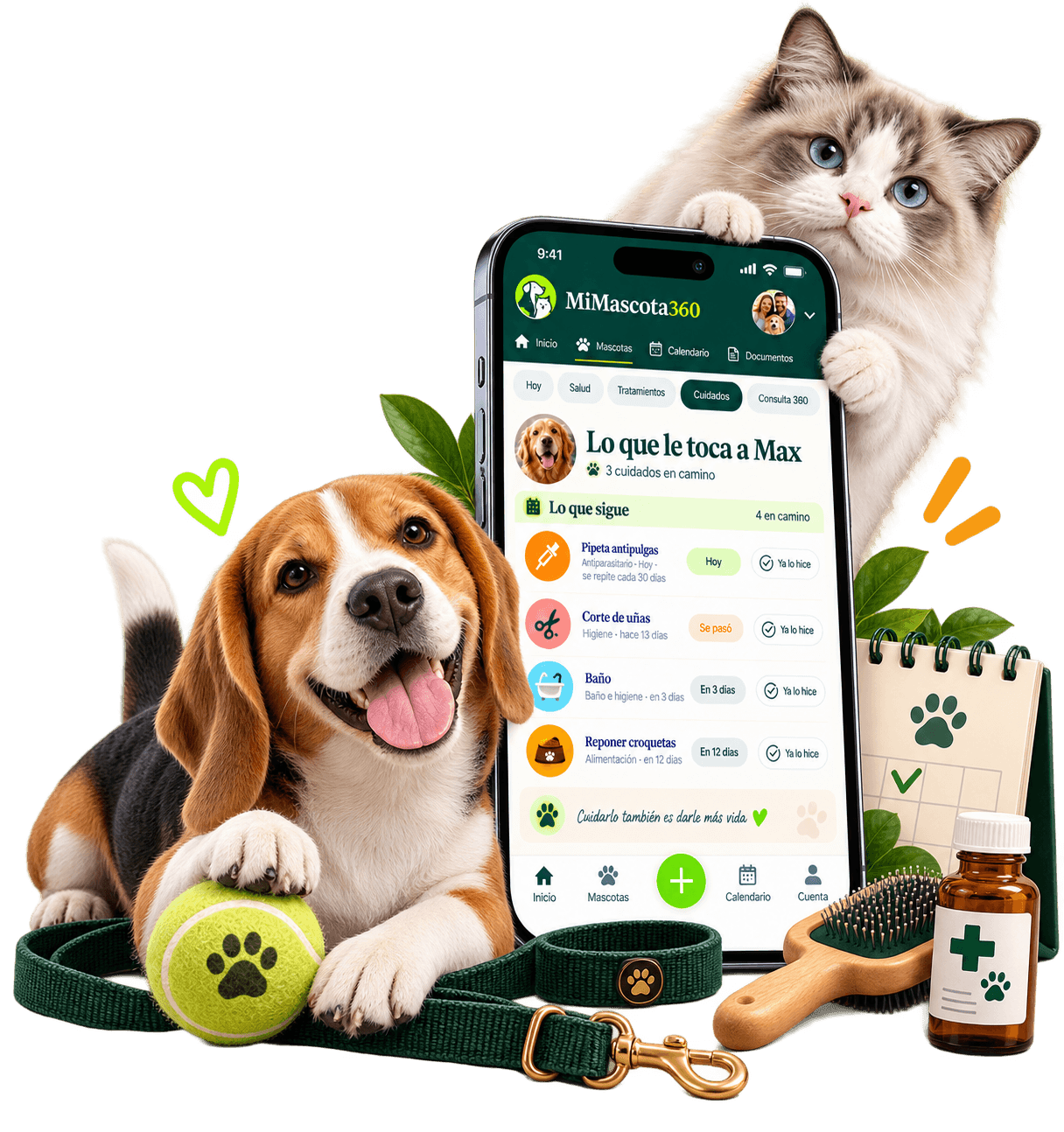 Un beagle y un gato ragdoll acompañan la pantalla de próximos cuidados de MiMascota360.