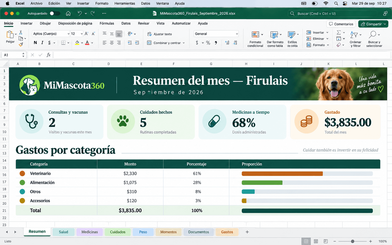 Resumen mensual de Firulais en Excel con consultas, cuidados, medicinas y gastos por categoría.