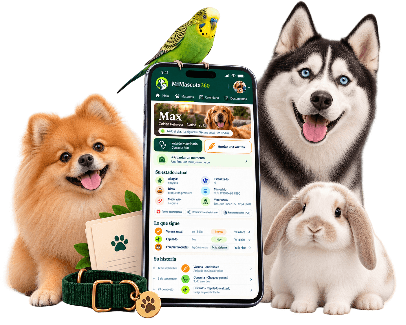 Un pomerania, un husky, un periquito y un conejo acompañan el perfil de una mascota en MiMascota360.